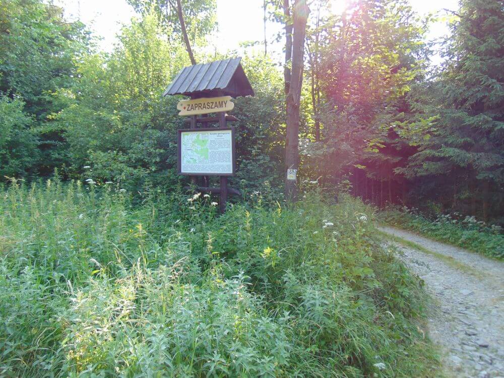 Uhryński Potok - ścieżka geologiczna w Beskidzie Sądeckim